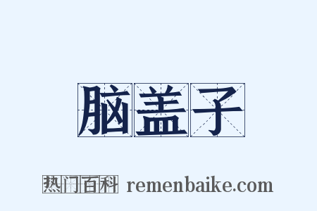 脑盖子是什么意思的图片